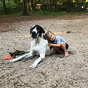 Sampson joined the competition — help win amazing prizes! dog, great_dane, child, hugging, outdoor, sand, toy, tree, nature, pet, play, smile, casual_clothing, summer, friendship, animal, park, leisure, companionship, relaxation