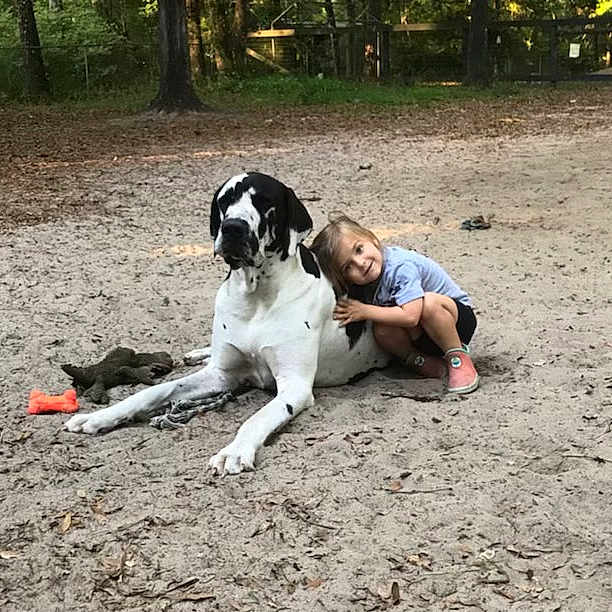 Sampson