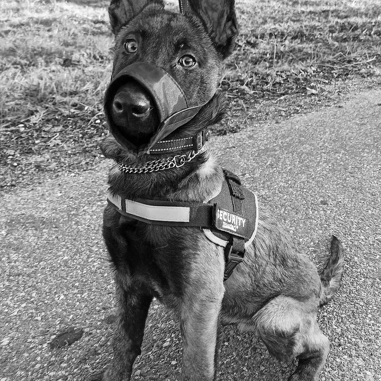 Tyson