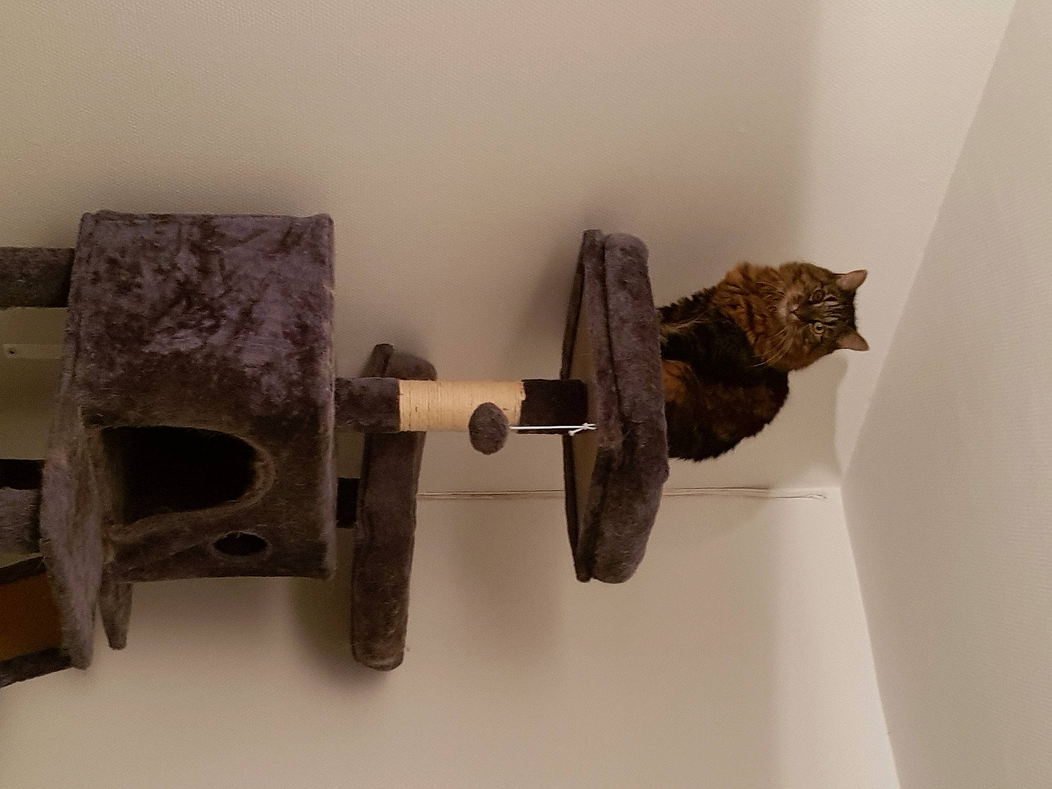 Myrtille participe au concours pour gagner de l'argent avec cette photo : art, artifact, gas, hardwood, metal, plywood, room, sculpture, visual_arts, wood