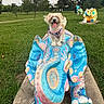 Milly joined the competition — help win amazing prizes! dog, statue, elephant_statue, colorful, park, grass, trees, outdoor, happy_dog, tongue_out, leash, person, sculpture, daytime, nature, playful, animal, walking_path, greenery, art