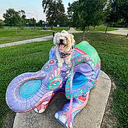 Milly is registered to the contest to win money with this photo: dog, statue, elephant, park, grass, tree, sidewalk, sky, cloud, leash, colorful, outdoor, happy, pet, sculpture, nature, playful, sunlight, animal, daytime