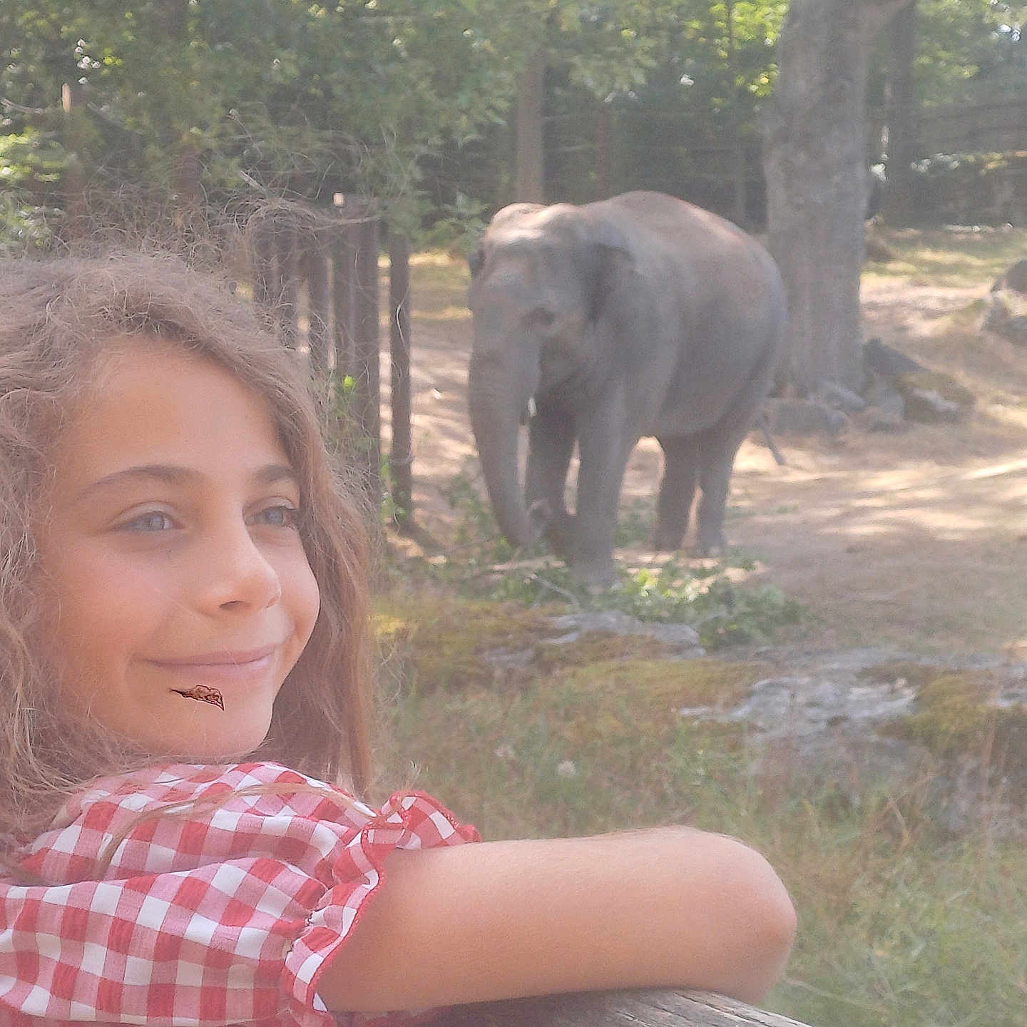 Louna participe au concours pour gagner de l'argent avec cette photo : animal, blouse, child, clothing, elephant, face, female, girl, grass, head, jungle, nature, outdoors, person, photography, plant, portrait, tree, vegetation, zoo