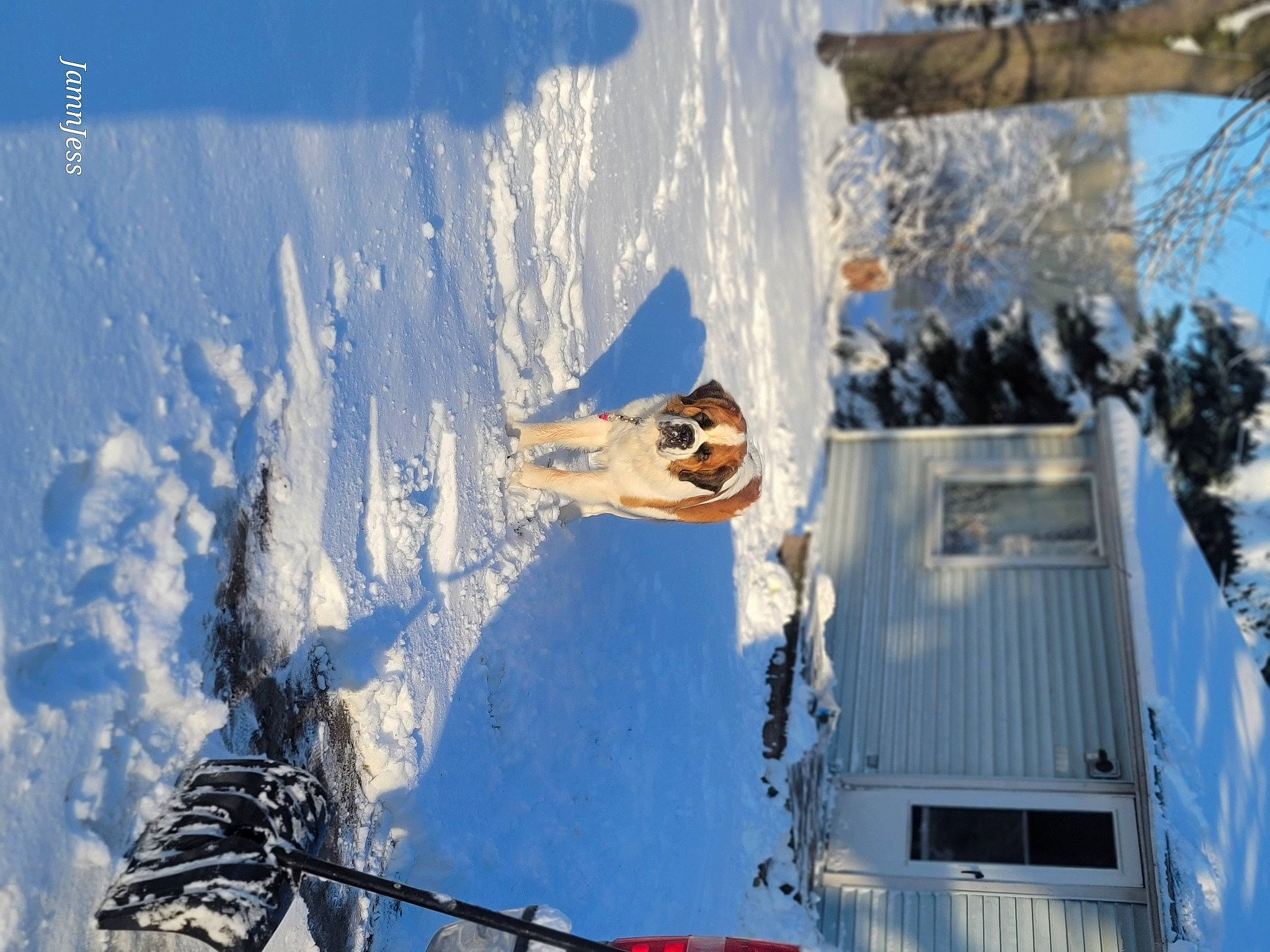 Diesel joined the competition — help win amazing prizes! azure, building, daytime, eyewear, freezing, geological_phenomenon, glacial_landform, house, ice_cap, leisure, line, plant, recreation, sky, slope, snow, tree, window, winter, world