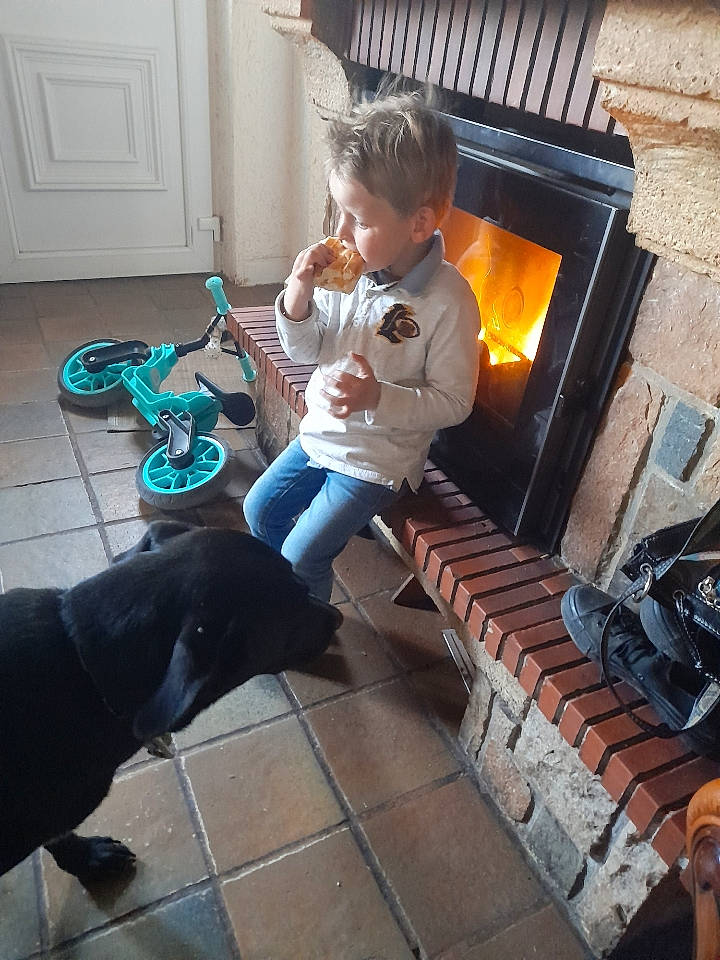 Aïden a rejoint le concours — aidez-le/la à gagner de superbes lots ! bicycle, bicycle_wheel, brick, brickwork, companion_dog, dog, door, fire, flagstone, flooring, gas, hardwood, heat, person, sitting, tire, toddler, wheel, wood, wood_flooring