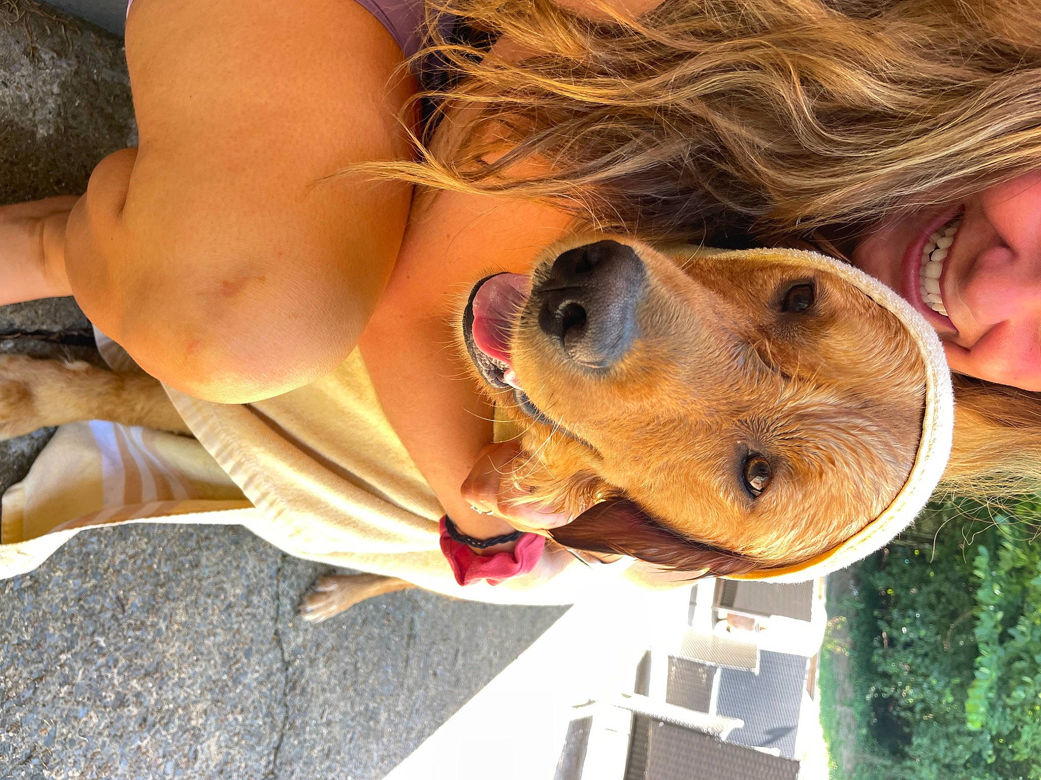 Hopper is registered to the contest to win money with this photo: carnivore, companion_dog, dog, dog_breed, eyewear, fawn, glasses, happy, hat, jaw, liver, mammal, nose, personal_protective_equipment, selfie, smile, snout, sunglasses, vertebrate, working_animal