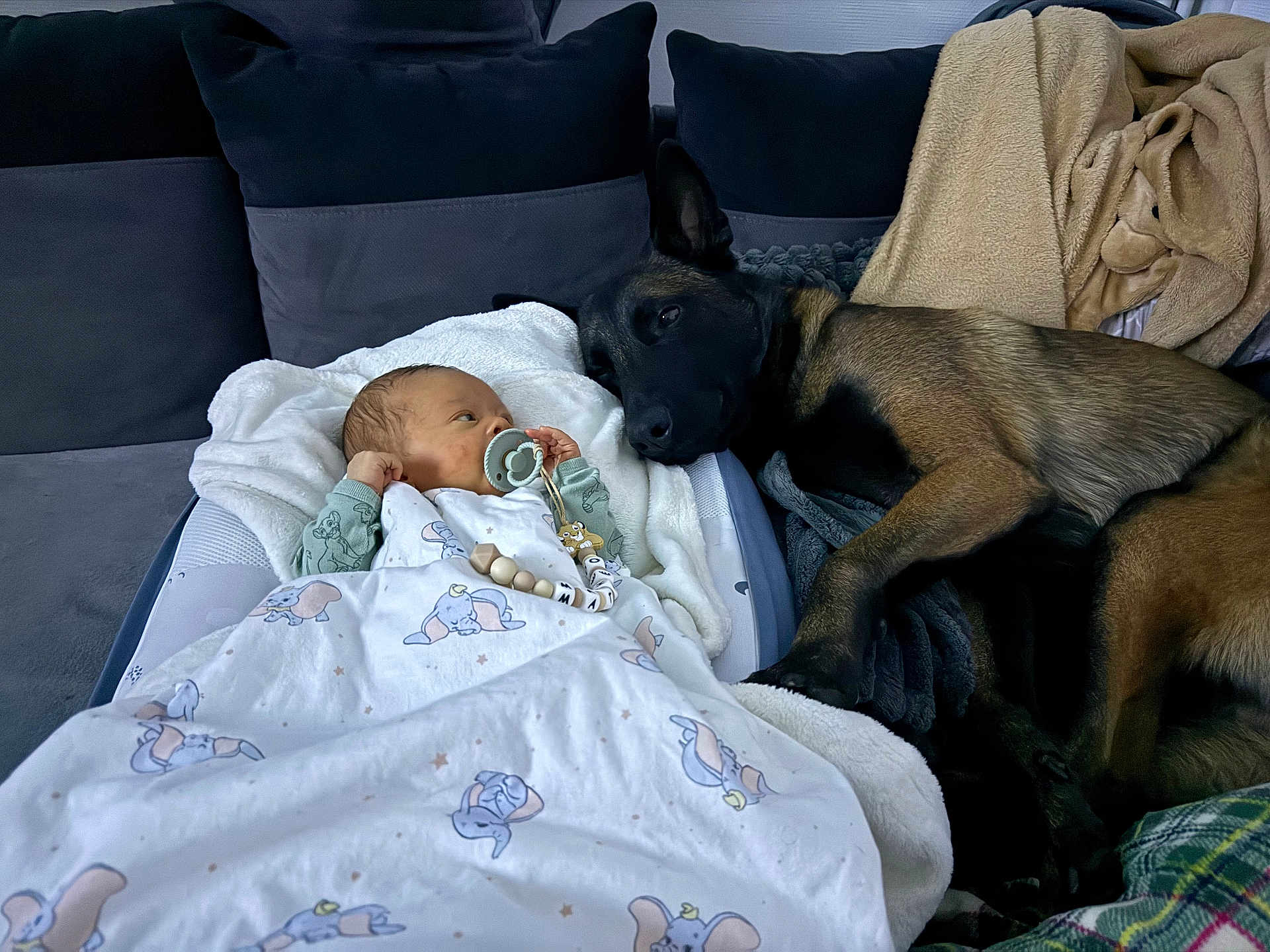 Matheo a rejoint le concours — aidez-le/la à gagner de superbes lots ! baby, dog, blanket, couch, pillow, pacifier, stuffed_animal, indoor, resting, pet, child, nap, cozy, snuggle, animal, fur, sleepy, comfort, toy, relaxation
