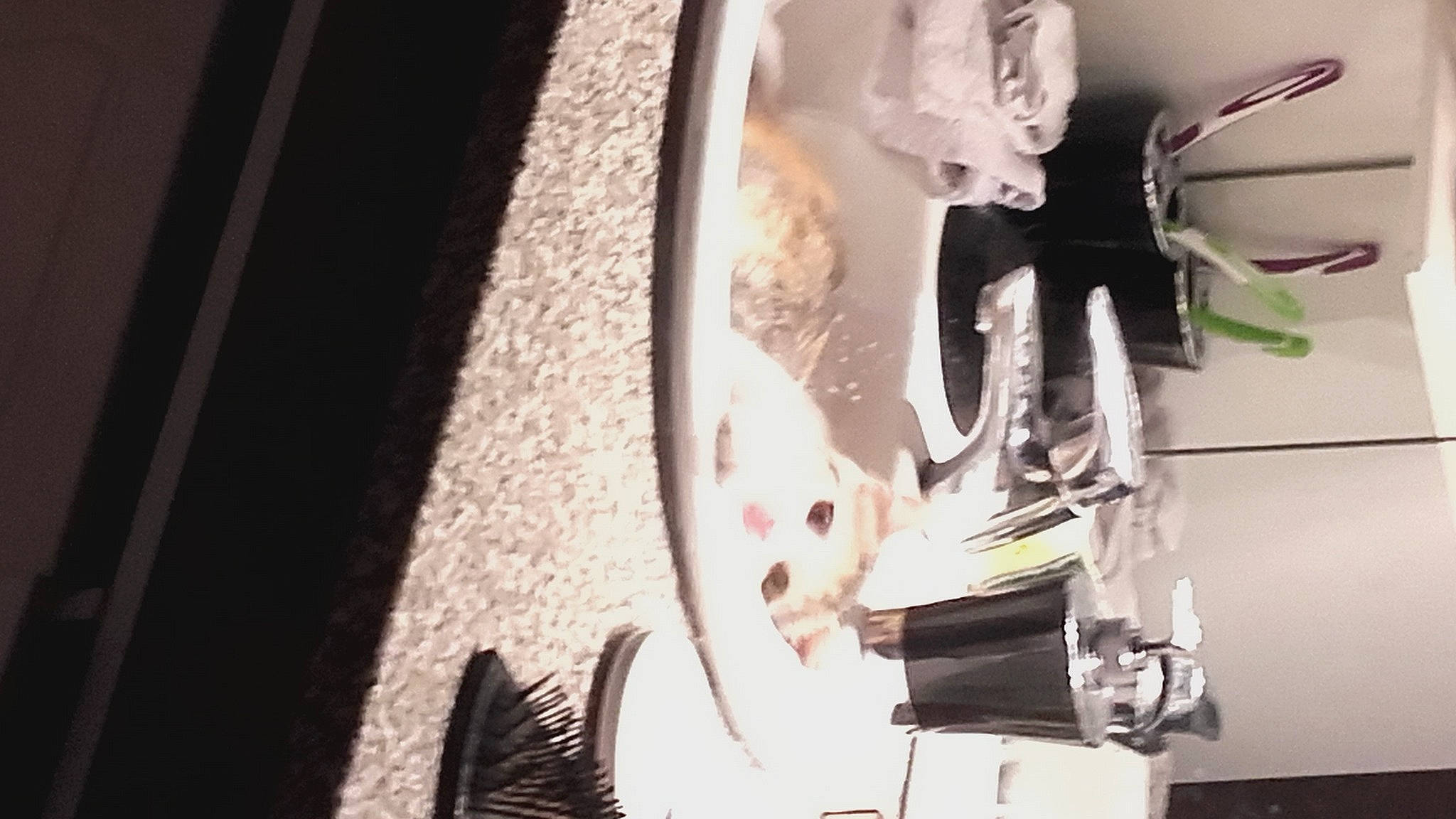 Nala participe au concours pour gagner de l'argent avec cette photo : art, athletic_shoe, audio_equipment, automotive_design, automotive_lighting, carmine, dress, eyewear, fashion_accessory, fashion_design, font, formal_wear, human_leg, machine, monochrome, monochrome_photography, room, sandal, shoe, visual_arts