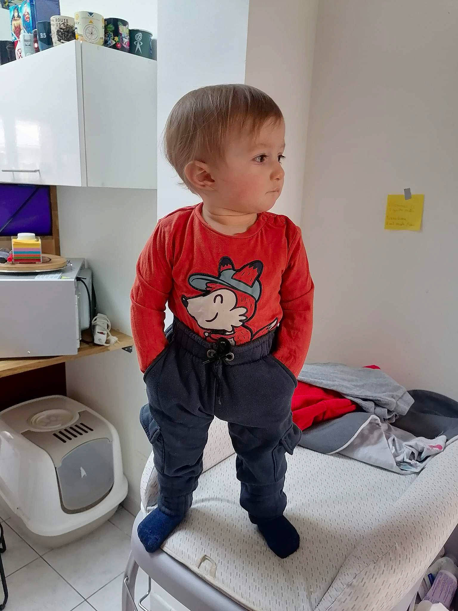 Mathéo participe au concours pour gagner de l'argent avec cette photo : baby, baby_toddler_clothing, carmine, child, comfort, flooring, home_appliance, knee, leg, machine, output_device, person, play, room, service, sitting, sleeve, sock, t_shirt, toddler