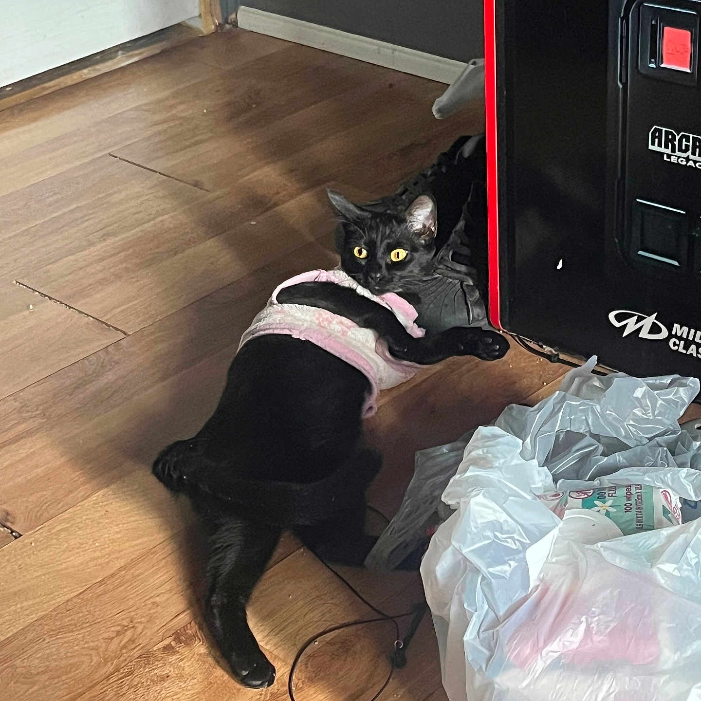 Binxy Winxy