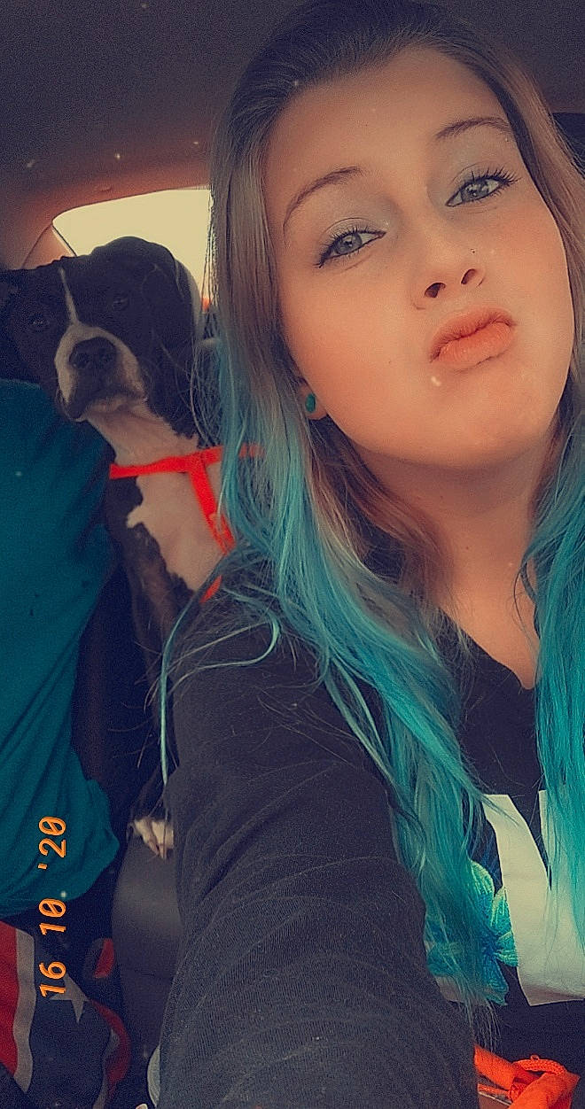 Bruce is registered to the contest to win money with this photo: body_jewelry, carnivore, collar, companion_dog, dog, dog_breed, dog_supply, eye_liner, eye_shadow, eyebrow, eyelash, lip, long_hair, makeover, mammal, selfie, snout, teal, turquoise, working_animal