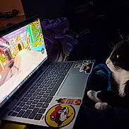 Pluto is registered to the contest to win money with this photo: cat, black_and_white_cat, pet, laptop, computer, video_game, gaming, screen, keyboard, stickers, blanket, couch, indoor, dim_lighting, nighttime, sitting, white_paws, whiskers, cozy, technology