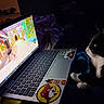 cat, black_and_white_cat, pet, laptop, computer, video_game, gaming, screen, keyboard, stickers, blanket, couch, indoor, dim_lighting, nighttime, sitting, white_paws, whiskers, cozy, technology