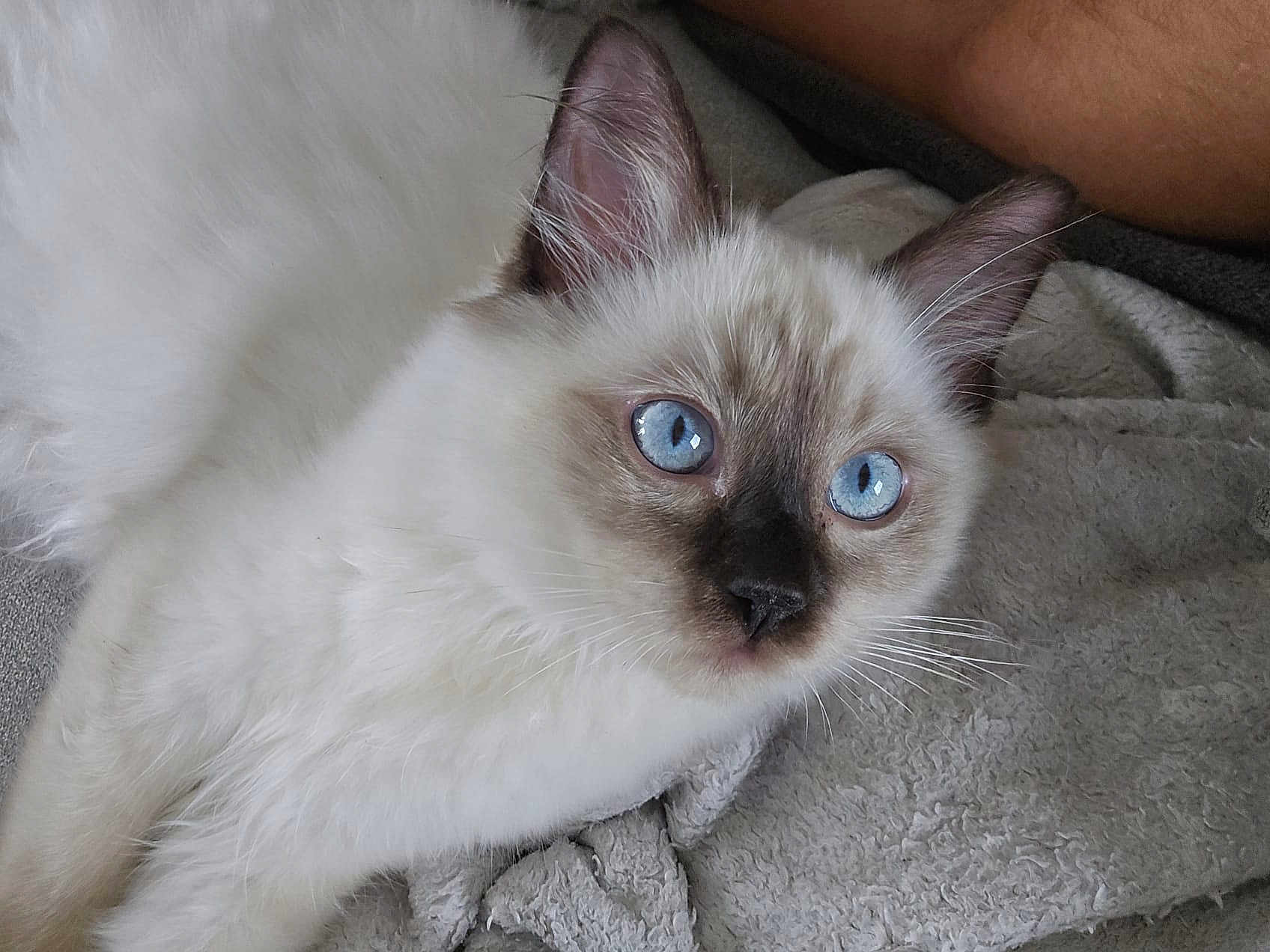 Azshara