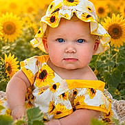 Ember is registered to the contest to win money with this photo: baby, child, sunflower, field, flower, hat, dress, blue_eyes, outdoor, nature, summer, sunlight, portrait, cute, caucasian, infant, greenery, plants, yellow, warm_light