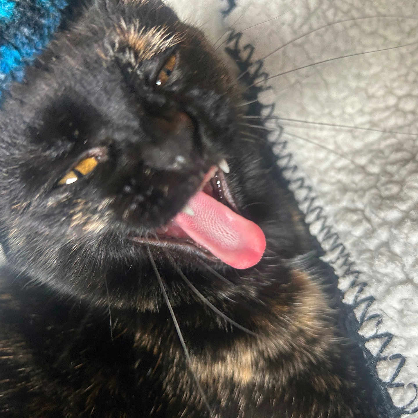 Binx