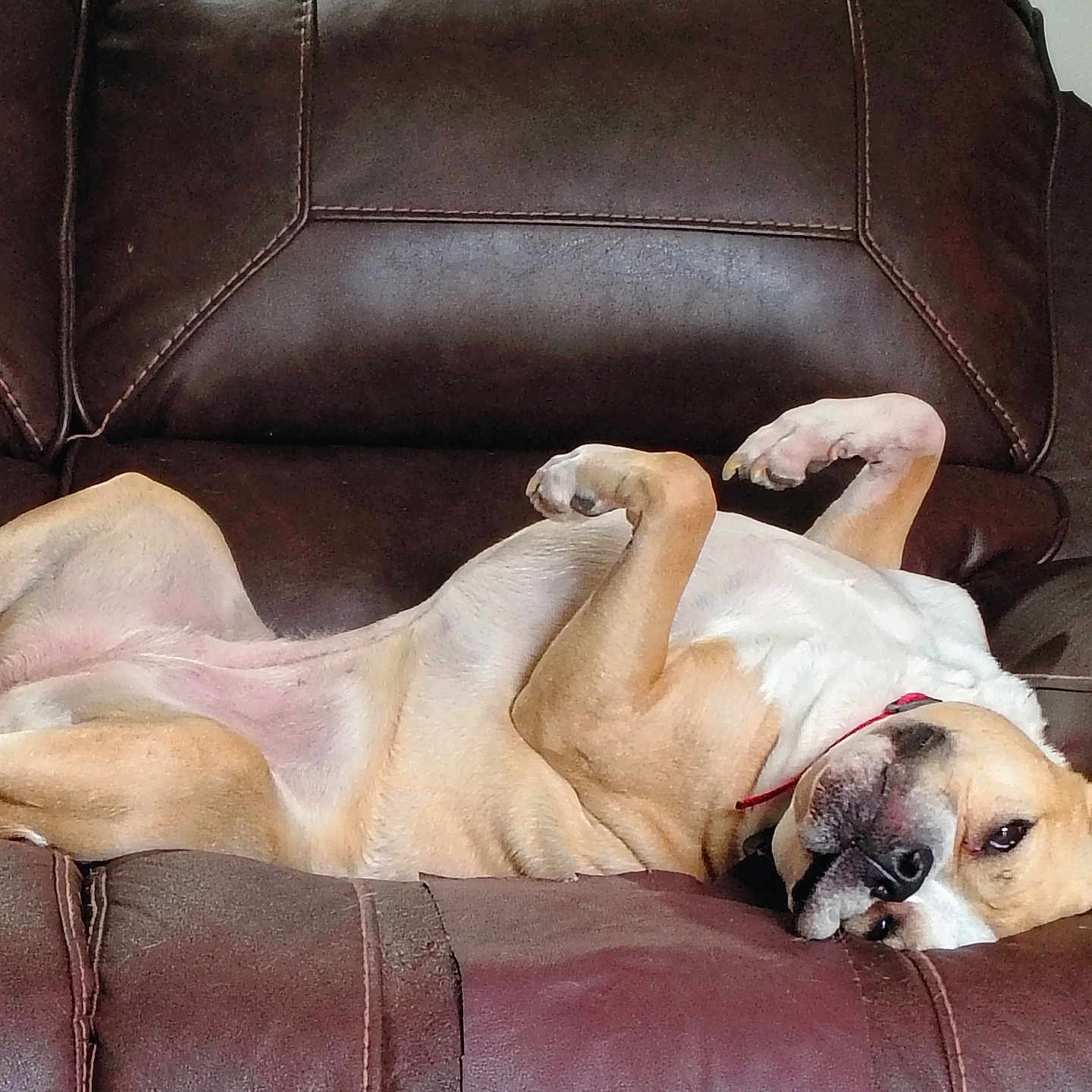 Yadi
