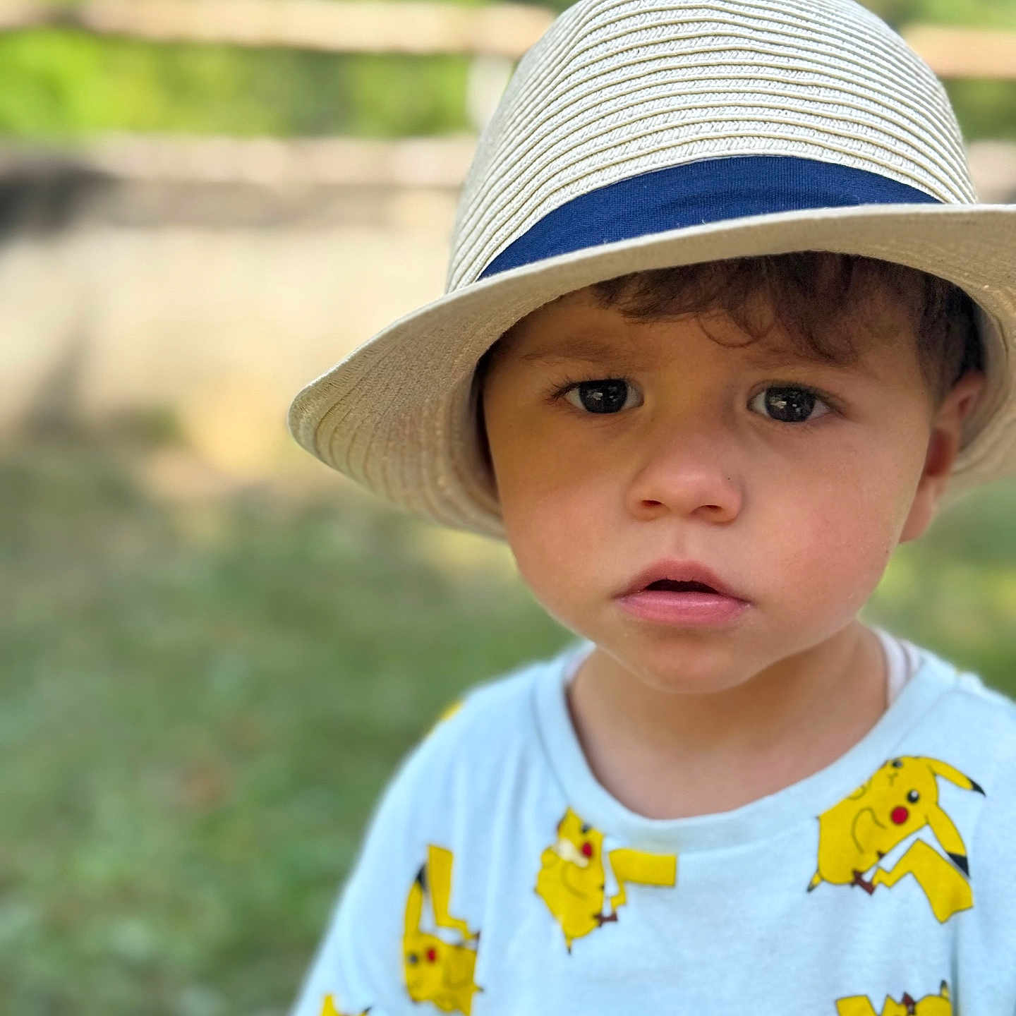 Imanol participe au concours pour gagner de l'argent avec cette photo : boy, casual, child, clothing, curious, daylight, expression, face, fashion, fence, greenery, hat, nature, outdoor, pikachu, portrait, shirt, summer, toddler, young