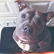 Kira is registered to the contest to win money with this photo: