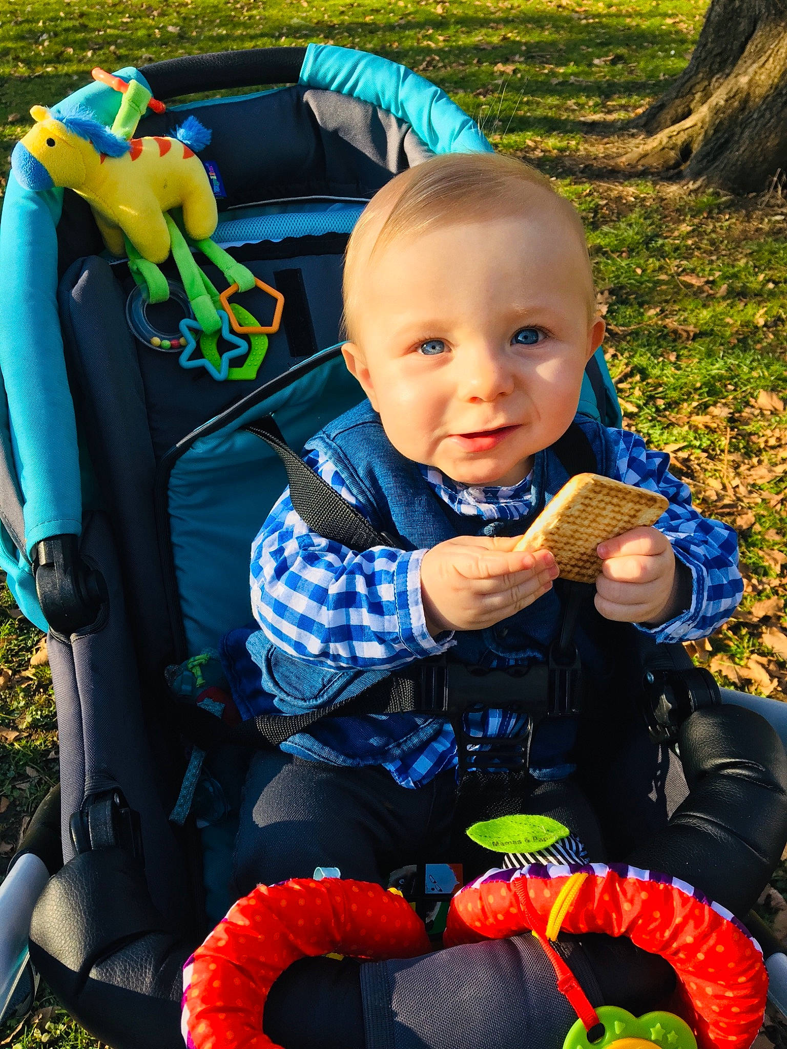 Nino participe au concours pour gagner de l'argent avec cette photo : baby, baby_carriage, baby_products, child, fun, grass, person, photography, plant, play, product, recreation, toddler