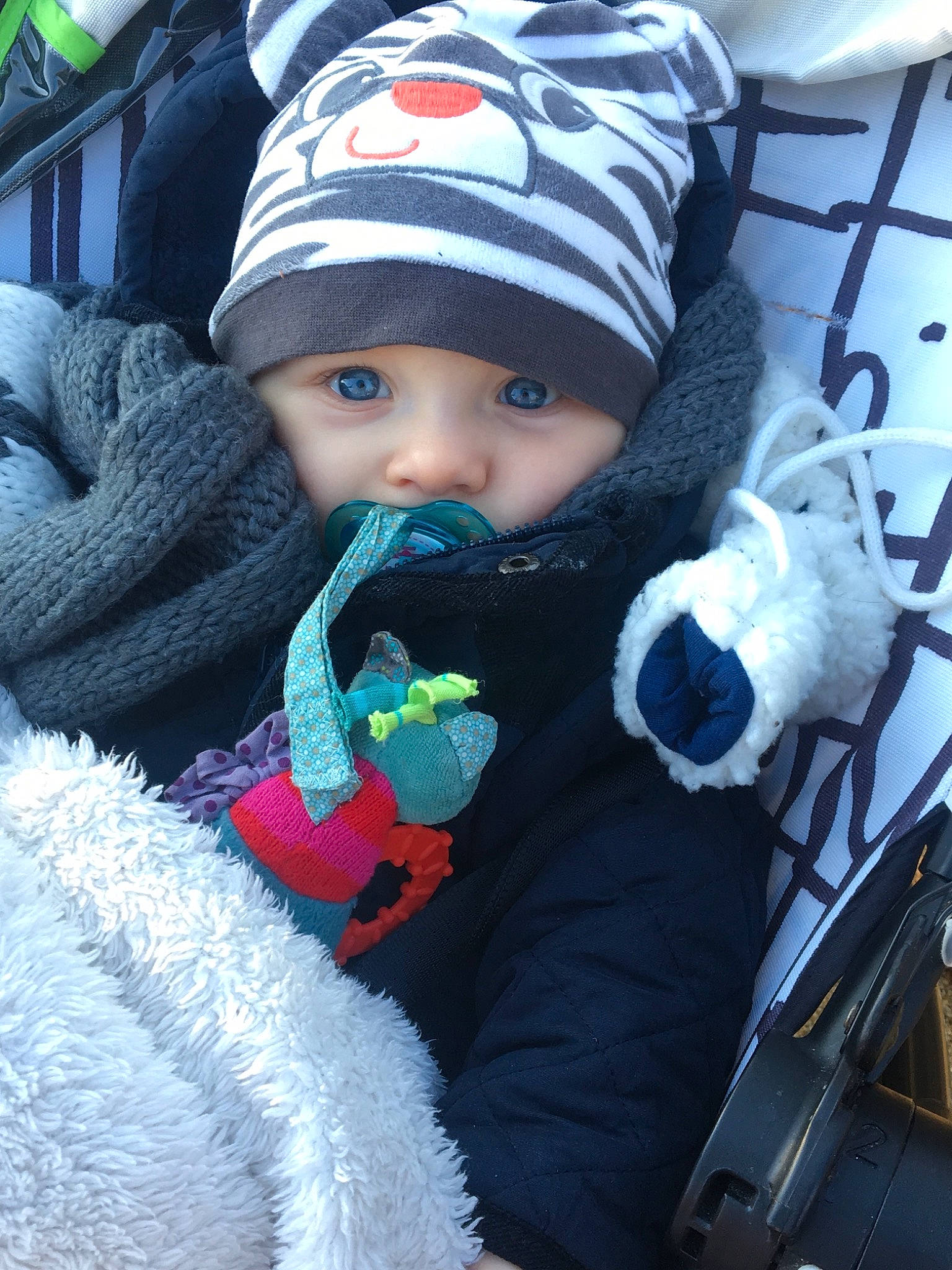 Nino participe au concours pour gagner de l'argent avec cette photo : baby, baby_carriage, baby_products, car_seat, child, cool, headgear, headwear, knit_cap, person, plant, product, skin, snow, toddler, tree, vacation, winter