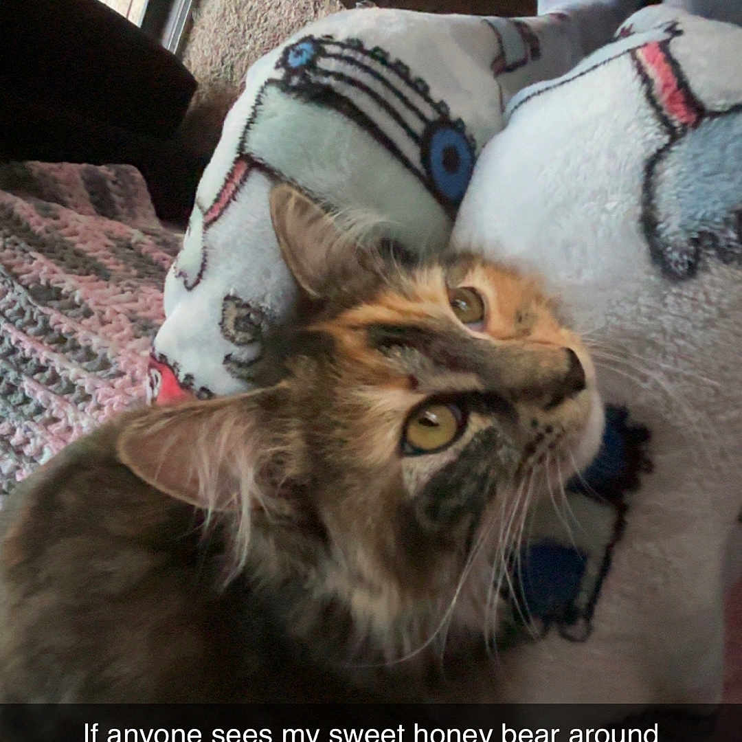 Honey
