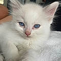 Savannah R.