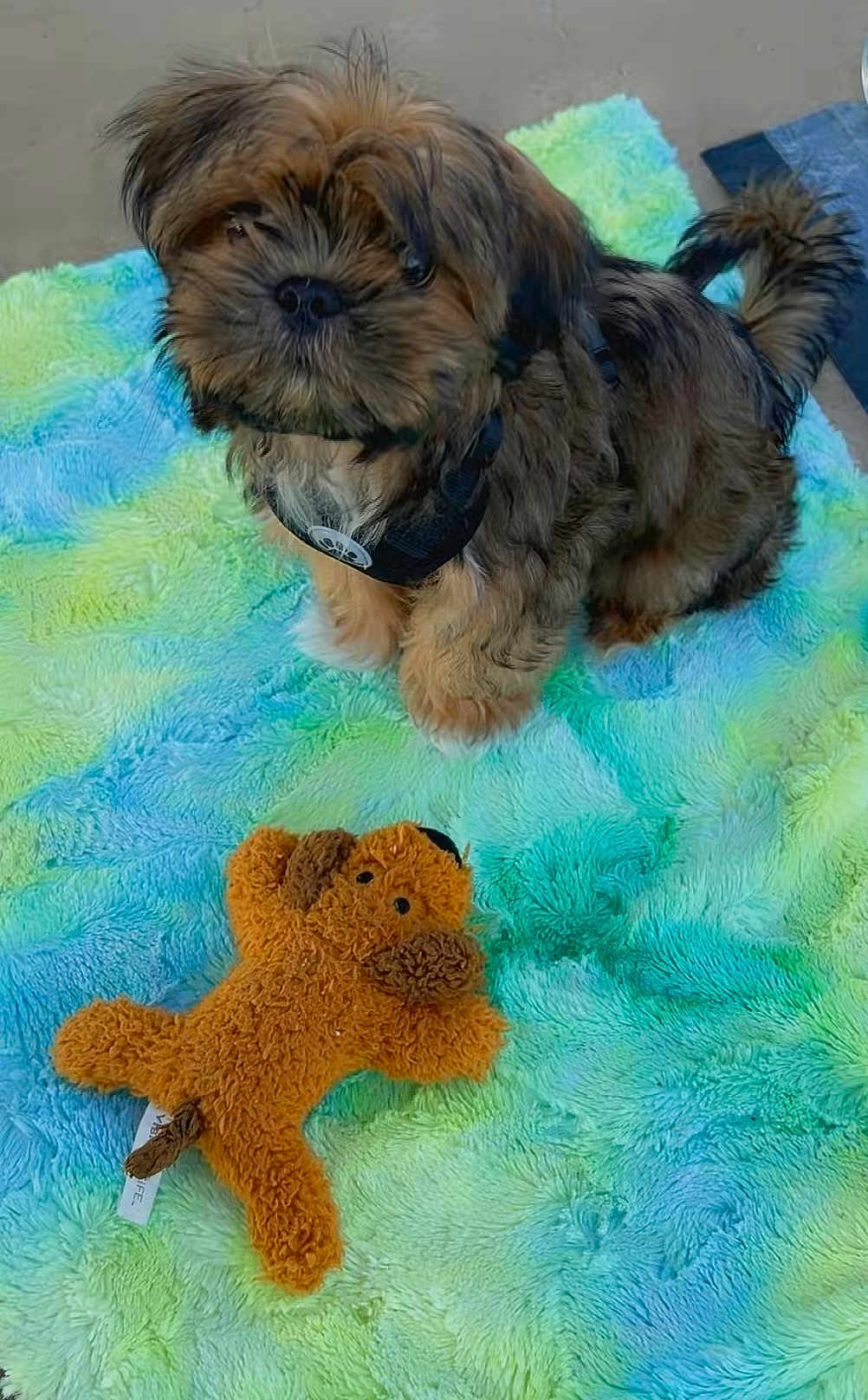 Romeo