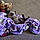 Widow Blueberry