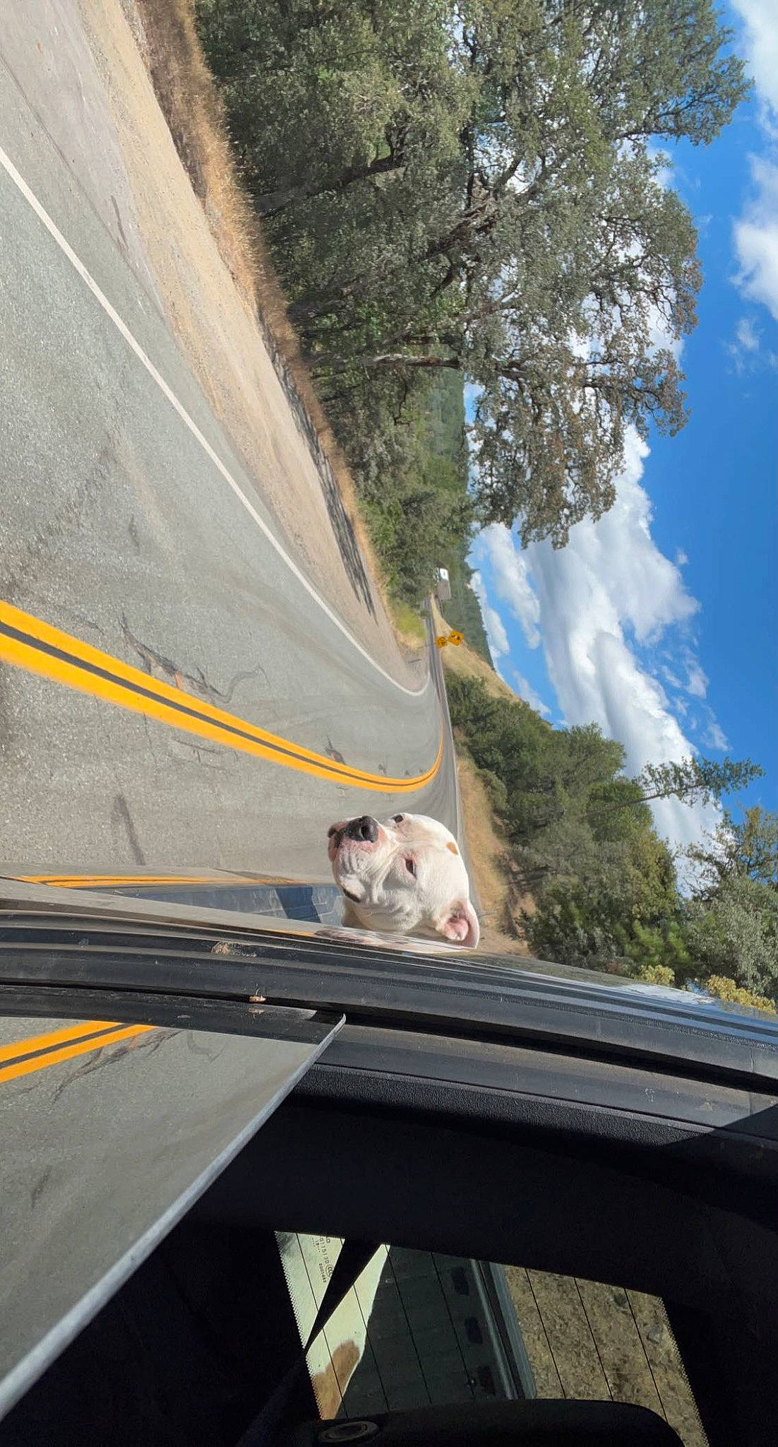 Diamond is registered to the contest to win money with this photo: asphalt, auto_part, automotive_exterior, automotive_lighting, automotive_tire, automotive_window_part, cloud, glass, motor_vehicle, plant, road, road_surface, sky, slope, tire, tree, vehicle, vehicle_door, windscreen_wiper, windshield