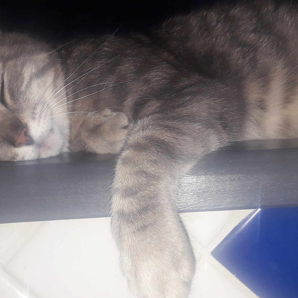Winnie