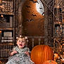 Ada joined the competition — help win amazing prizes! animal, baby, bird, face, festival, food, halloween, head, jack_o_lantern, person, photography, plant, portrait, pottedplant, produce, pumpkin, sitting, squash, vegetable