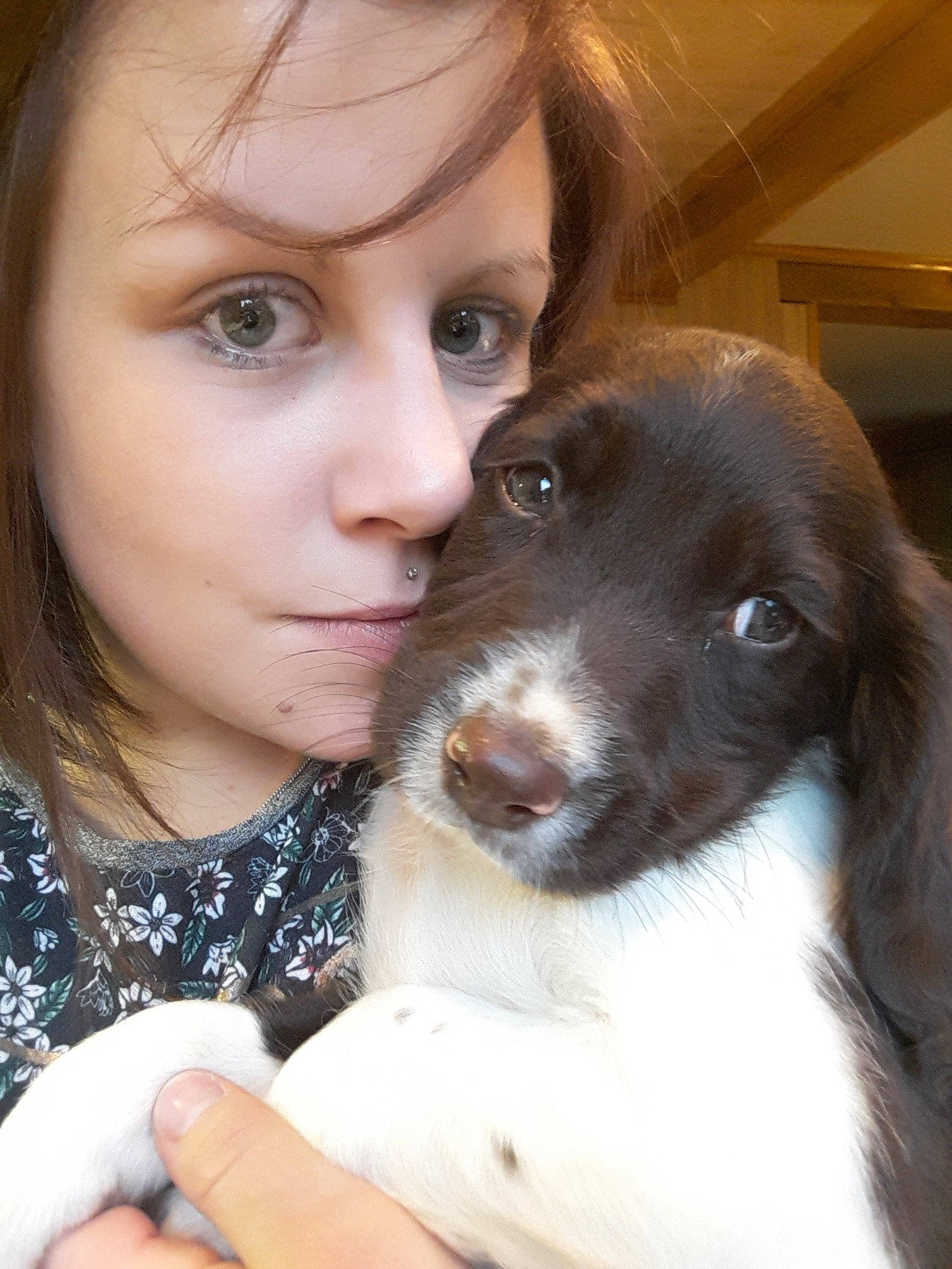 Zelda participe au concours pour gagner de l'argent avec cette photo : carnivoran, companion_dog, dog, dog_breed, dog_breed_group, dog_like_mammal, drentse_patrijshond, ear, girl, nose, person, puppy, puppy_love, skin, small_munsterlander, snout, spaniel, sporting_group