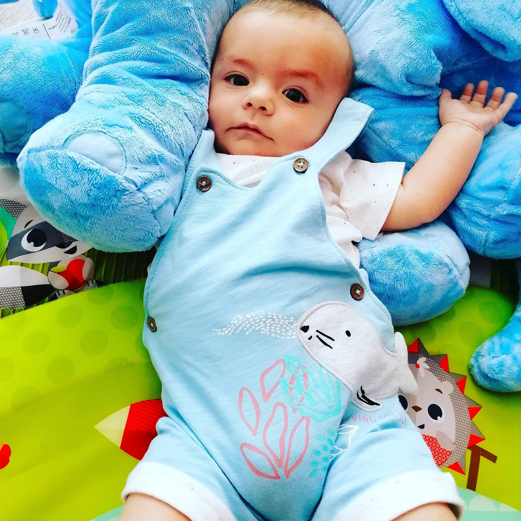 Matheïs participe au concours pour gagner de l'argent avec cette photo : baby, baby_products, baby_toddler_clothing, blue, child, person, play, product, skin, sleeve, smile, toddler