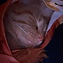Garfield joined the competition — help win amazing prizes! cat, sleeping, orange_tabby, hood, cozy, furry, pet, closeup, whiskers, cute, nap, soft, warm, indoor, resting, feline, animal, comfort, cute_pet, snug