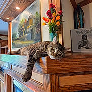 Lucy is registered to the contest to win money with this photo: cat, tabby_cat, pet, animal, lying_down, relaxed, green_eyes, whiskers, paws, wooden_cabinet, indoor, home_interior, flowers, vase, painting, record_album, music, rustic_decor, warm_lighting, portrait