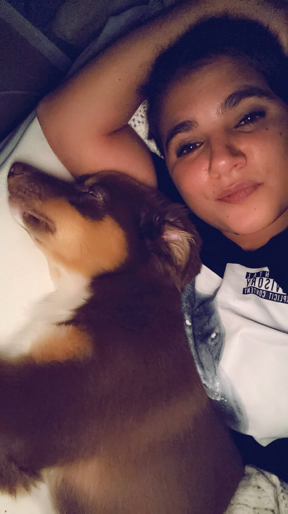 Koda a rejoint le concours — aidez-le/la à gagner de superbes lots ! carnivore, companion_dog, dog, dog_breed, eye, eyebrow, eyelash, fawn, flash_photography, gesture, happy, head, iris, jaw, mammal, mouth, nose, organ, skin, smile