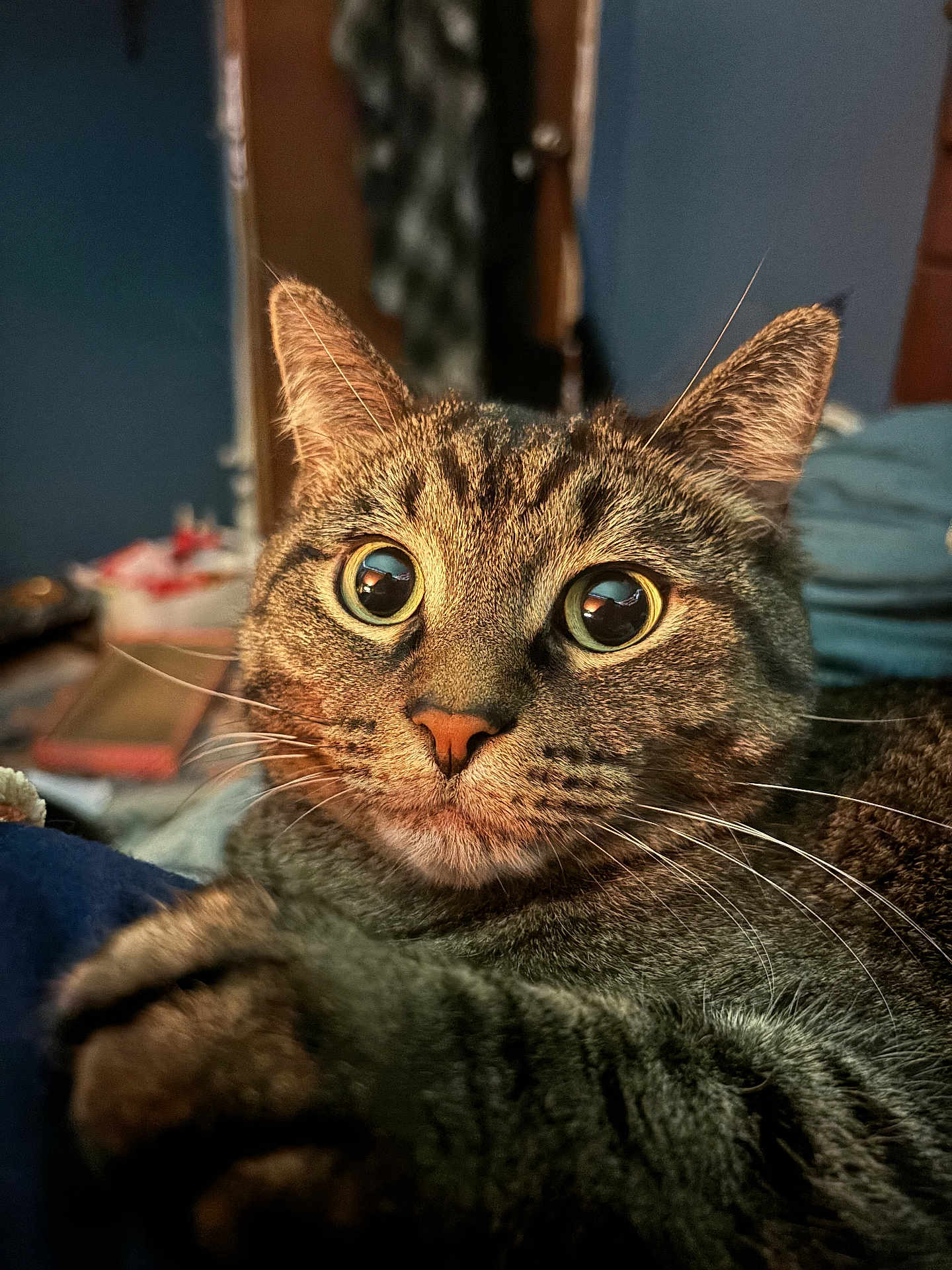 Izumi