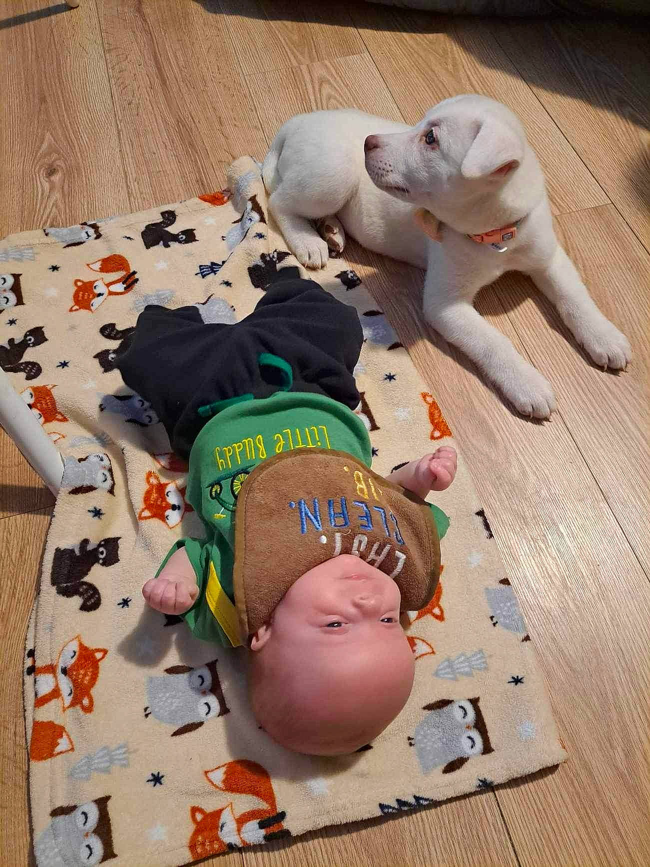 Ryker is registered to the contest to win money with this photo: abdomen, baby, chest, child, comfort, companion_dog, flooring, foot, human_body, human_leg, knee, leg, navel, person, thigh, toy, trunk, undergarment, underpants, wood