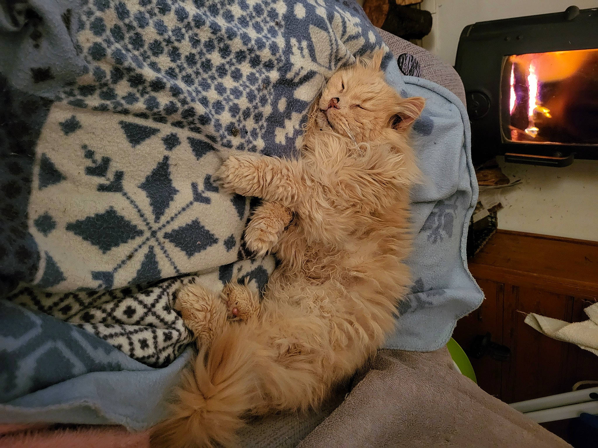 Léonie participe au concours pour gagner de l'argent avec cette photo : carnivore, claw, comfort, companion_dog, dog_breed, fawn, felidae, fur, fur_clothing, gas, heat, linens, pattern, paw, small_to_medium_sized_cats, sporting_group, tail, whiskers, wood, wood_burning_stove