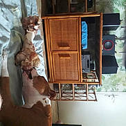 Preya participe au concours pour gagner de l'argent avec cette photo :