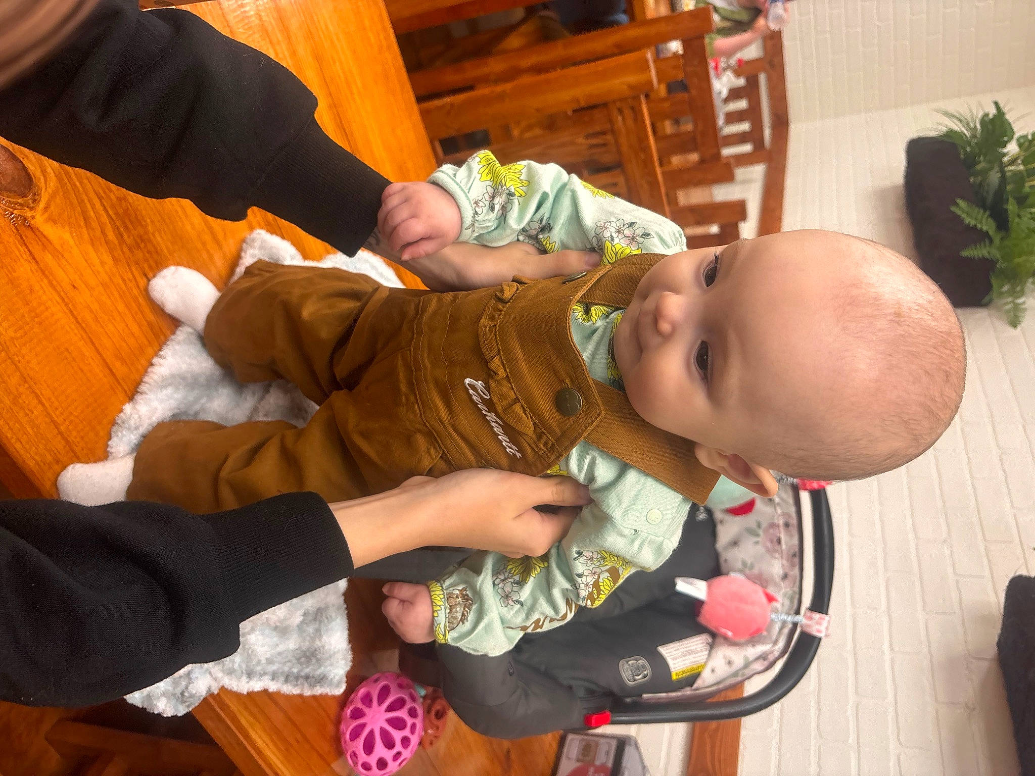 Phoenix joined the competition — help win amazing prizes! arm, baby, baby_products, baby_toddler_clothing, child, clothing, comfort, event, finger, fun, happy, head, houseplant, person, plant, room, sharing, sitting, skin, toddler