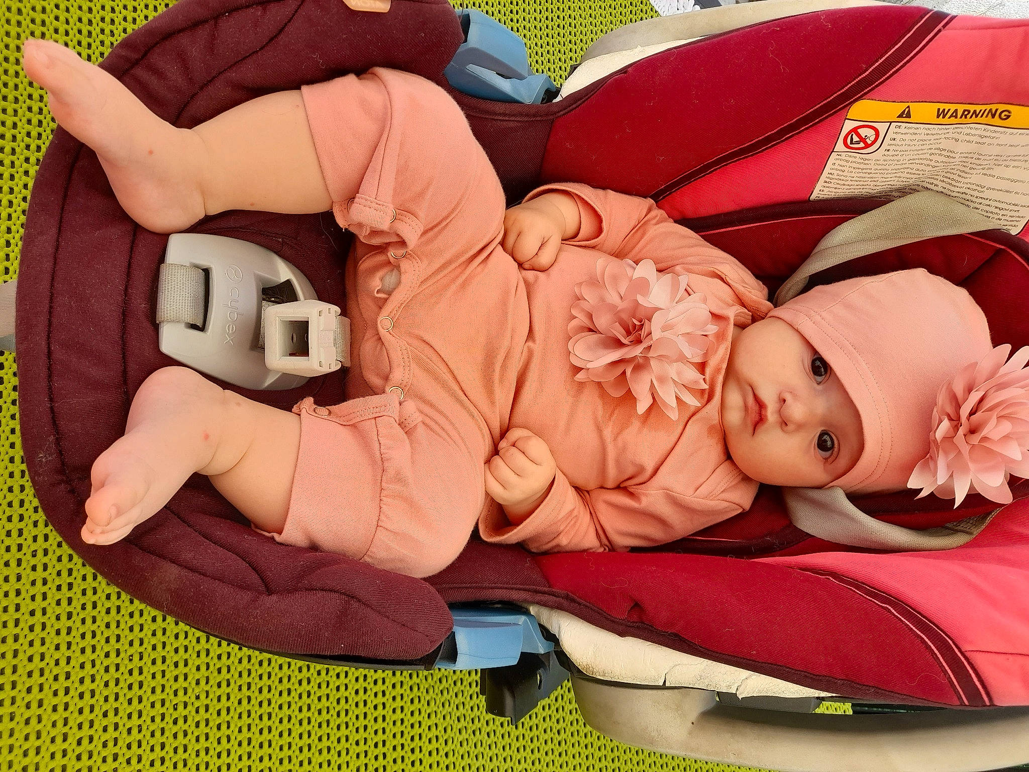 Wendy participe au concours pour gagner de l'argent avec cette photo : arm, baby, baby_sleeping, baby_toddler_clothing, child, comfort, facial_expression, finger, gesture, grass, hand, happy, hat, headwear, person, petal, pink, plant, product, textile