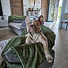 animal, blanket, brown_and_white, chair, dog, french_bulldog, green_blanket, home_decor, indoor, large_ears, living_room, lounging, mirror, open_door, paws, pet, short_coat, sitting, sofa, wrinkles