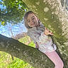 bark, branches, candid, child, grass, hand, happy, leaves, leggings, moss, nature, outdoor, person, play, portrait, smile, sunlight, toddler, tree, tree_climbing