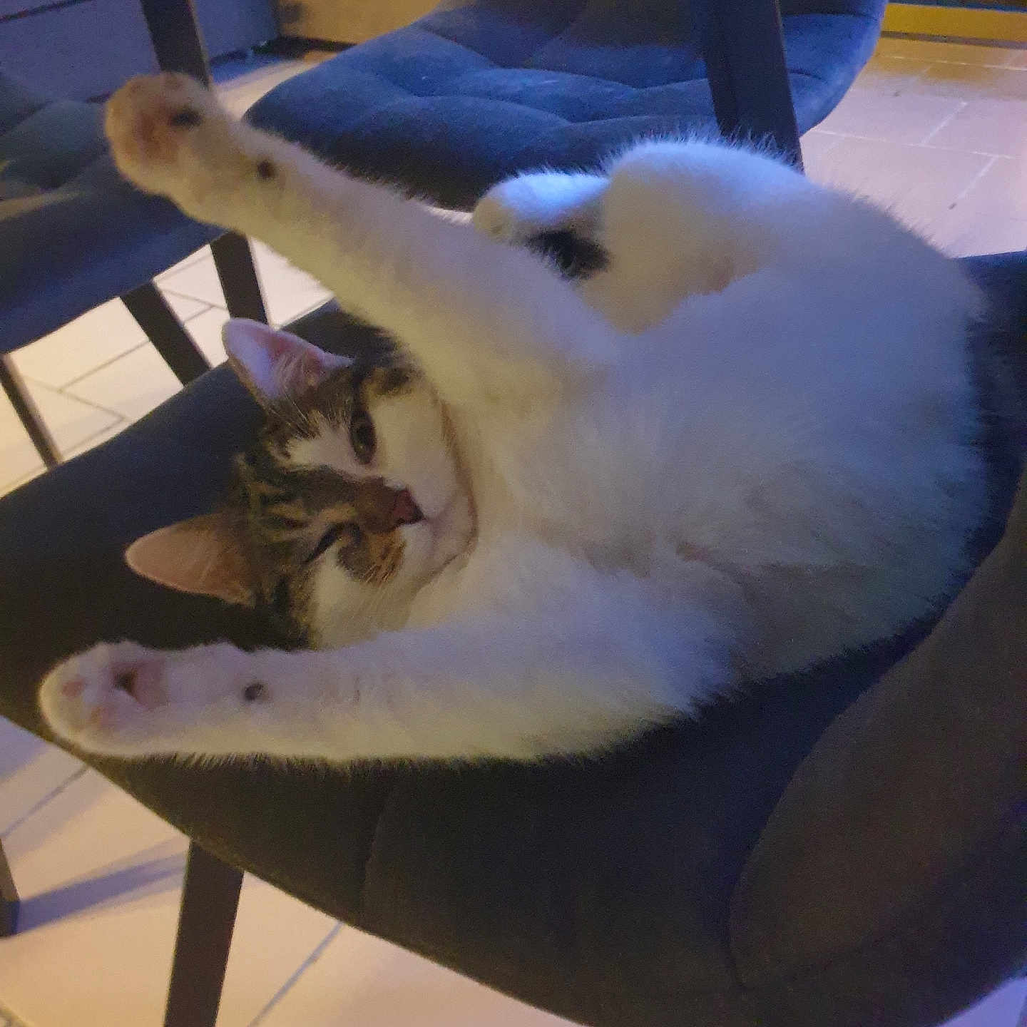 Vanille