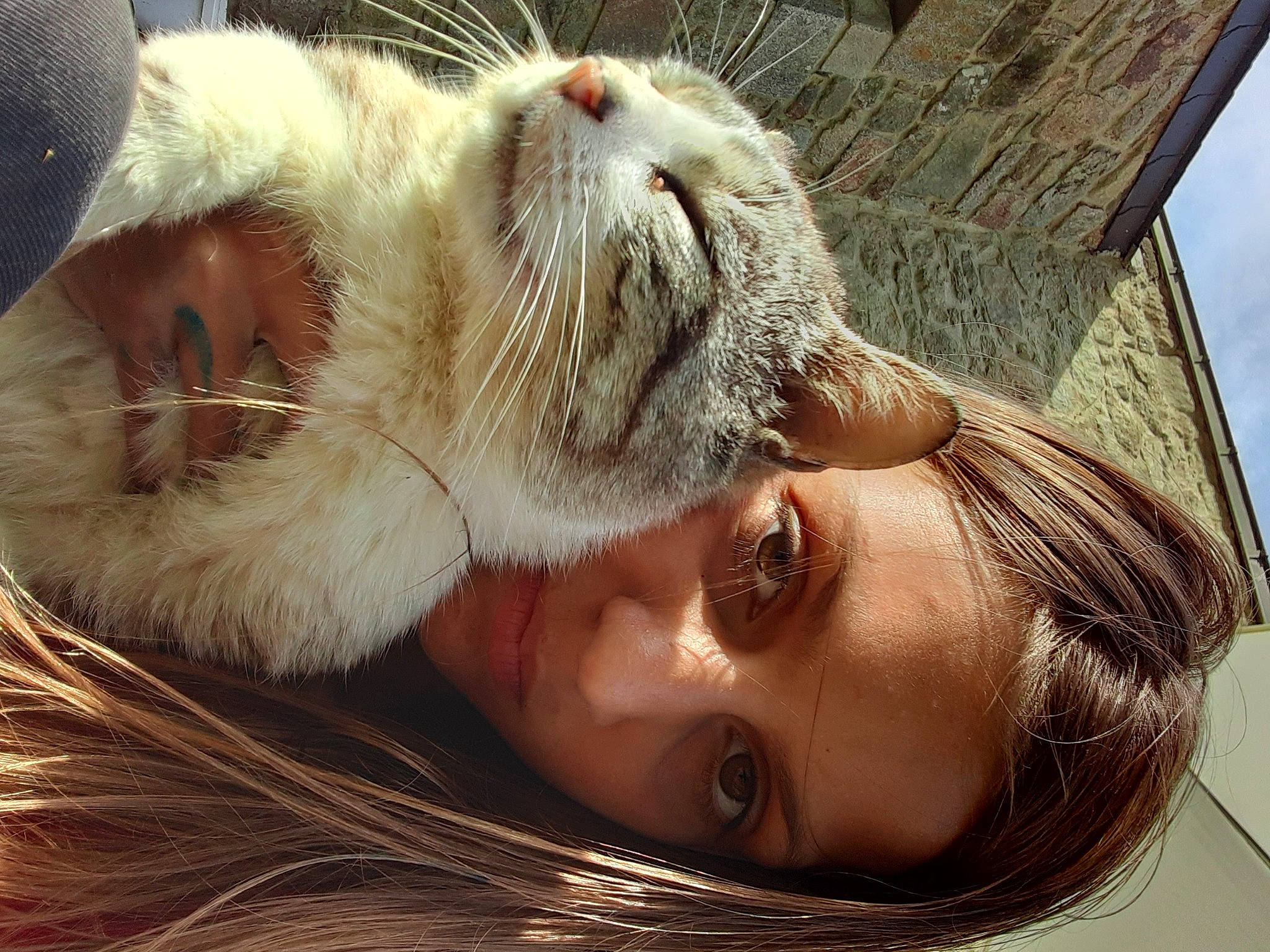 Flocon a rejoint le concours — aidez-le/la à gagner de superbes lots ! carnivore, cat, close_up, ear, eye, fawn, felidae, fur, hair, happy, head, lip, mouth, nap, nose, organ, skin, small_to_medium_sized_cats, snout, whiskers