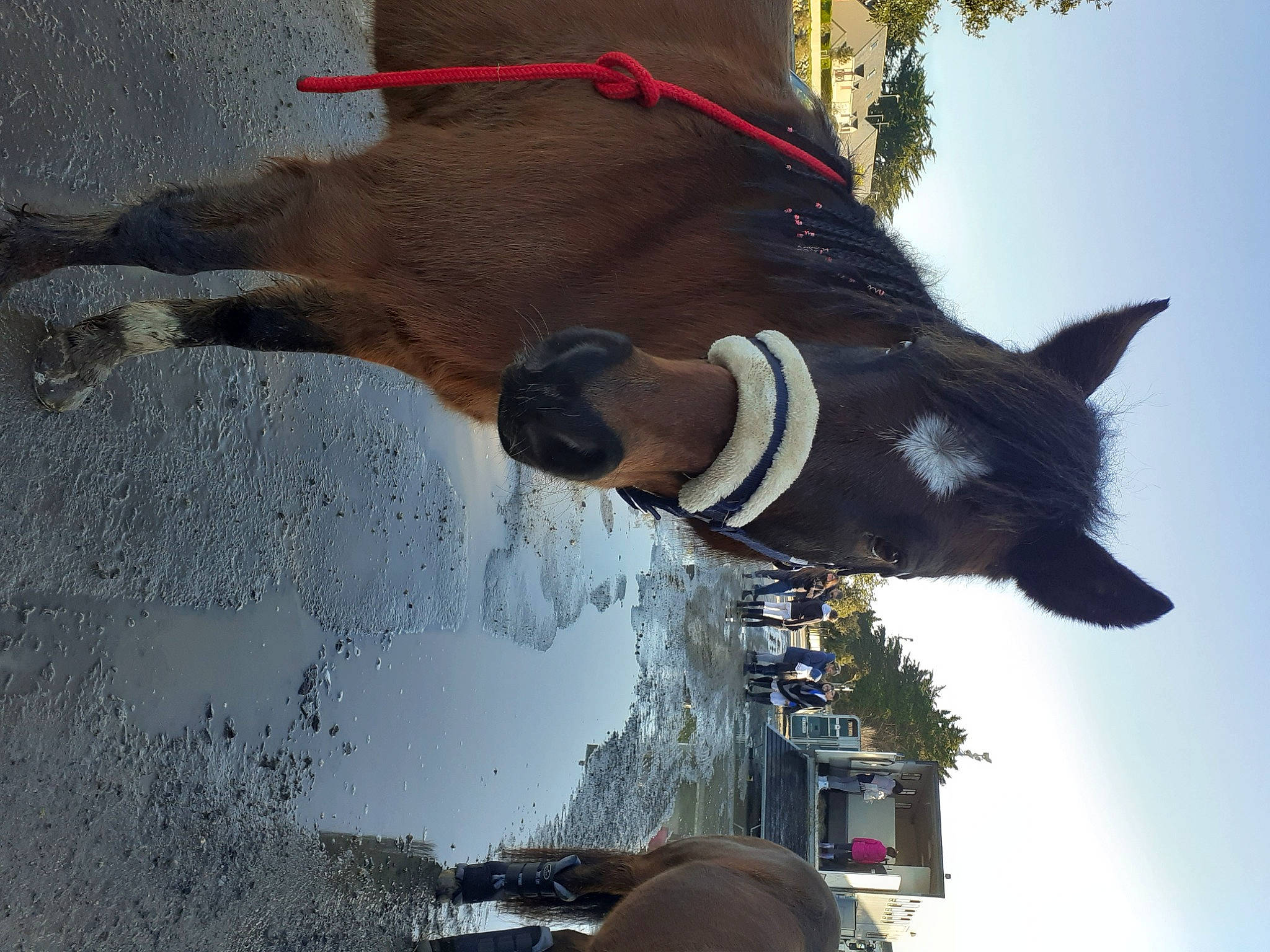 Scoop a rejoint le concours — aidez-le/la à gagner de superbes lots ! snout