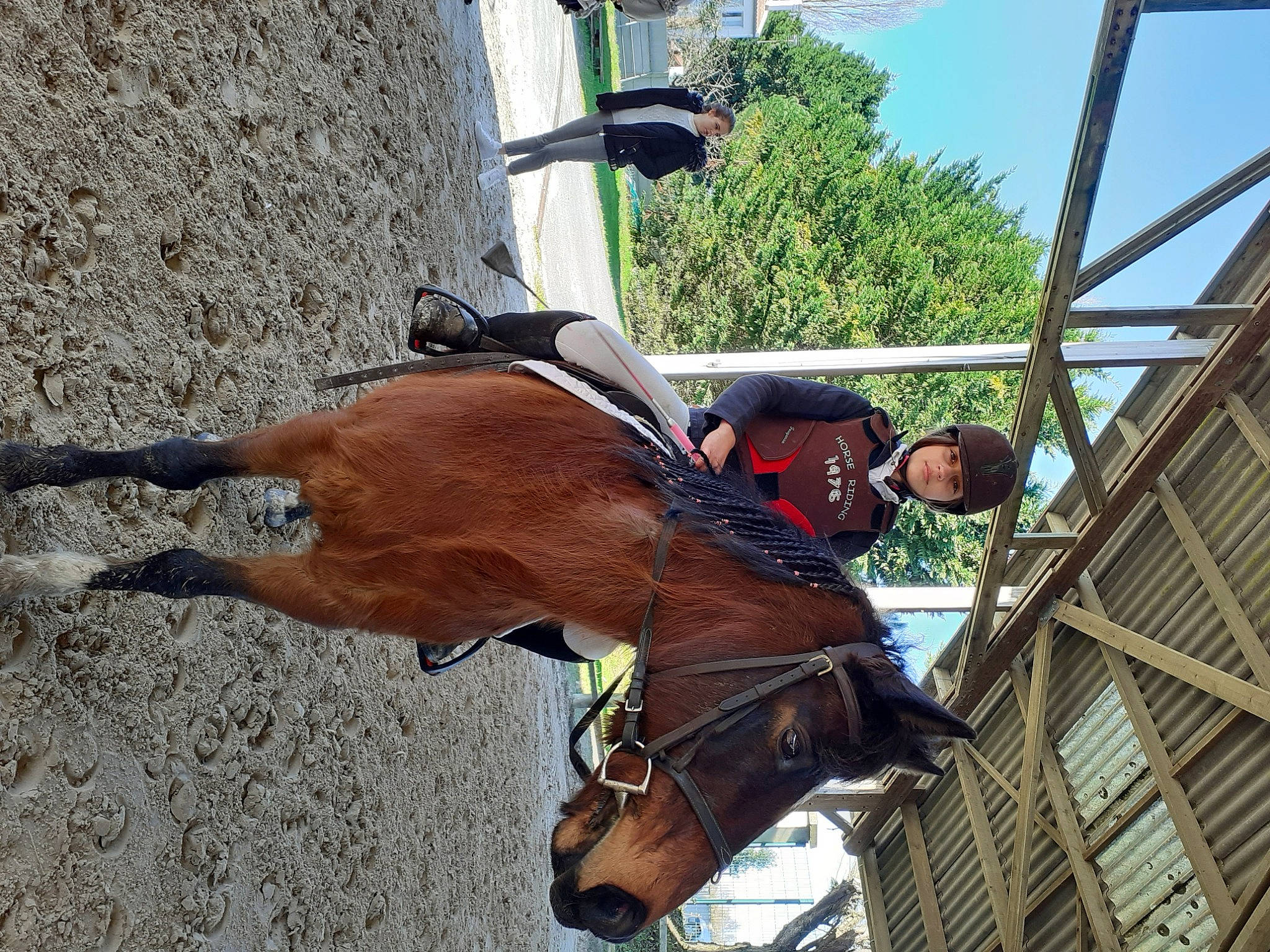 Tonneur a rejoint le concours — aidez-le/la à gagner de superbes lots ! bridle, equestrianism, halter, horse, horse_supplies, horse_tack, mare, recreation, rein, stallion