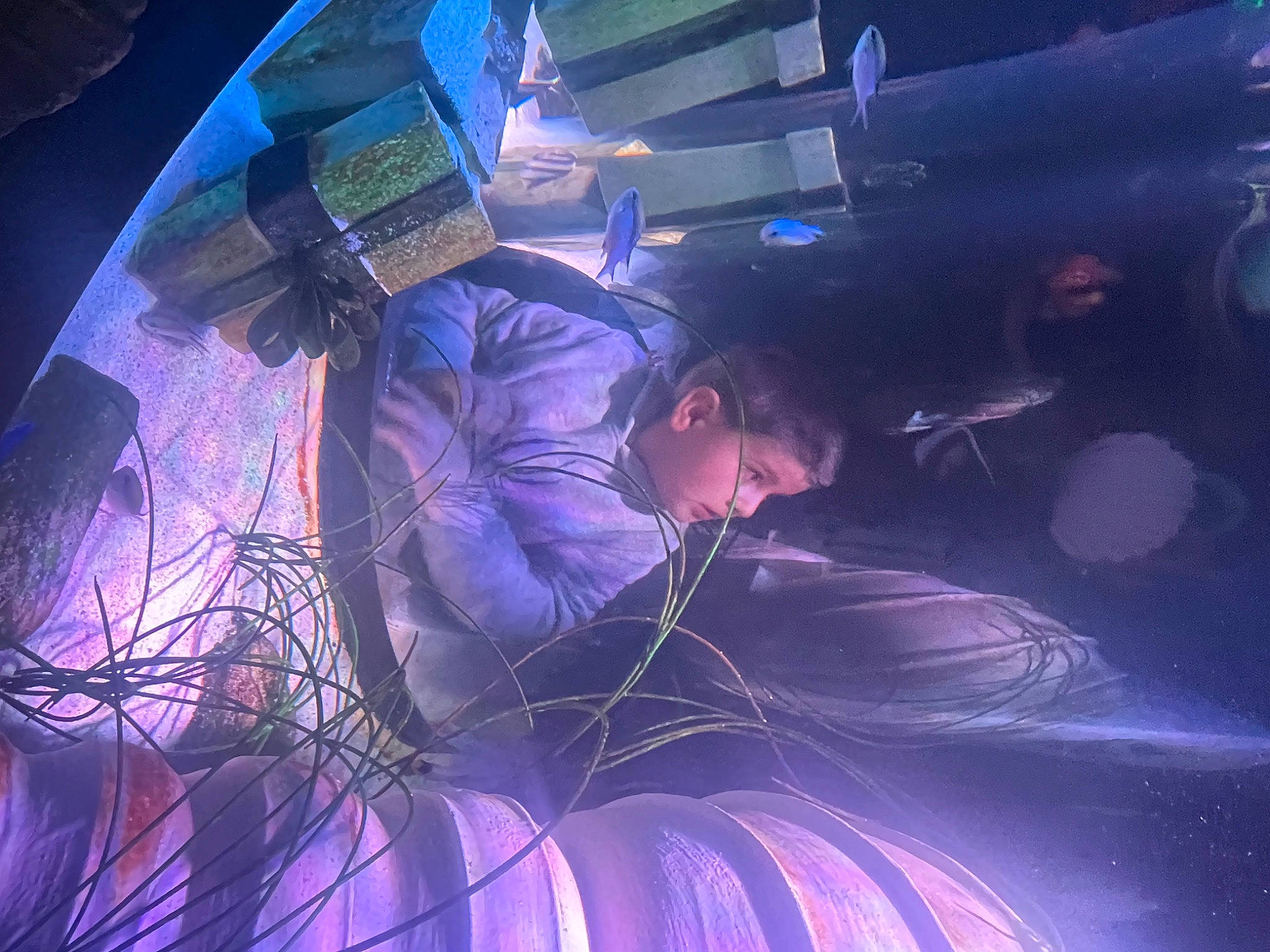 Jayden joined the competition — help win amazing prizes! computer, darkness, electric_blue, entertainment, event, flash_photography, fun, hat, laptop, magenta, music, music_artist, music_venue, performance, performing_arts, person, purple, space, stage, violet